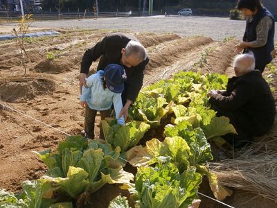 ぽれぽれケアセンター白橿