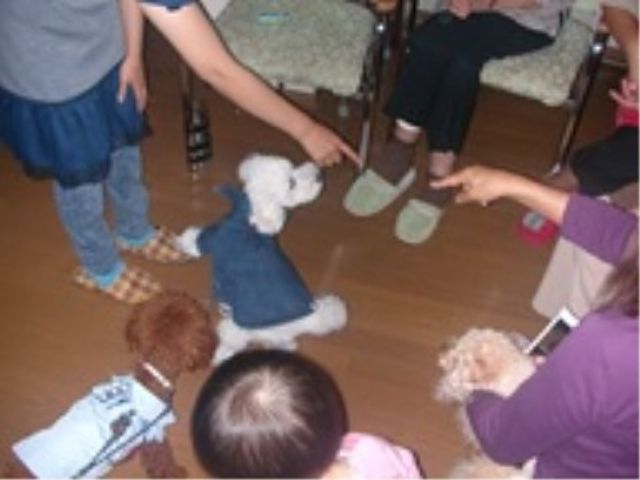 動物と触れ合うリビング