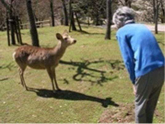 鹿と対話する高齢者