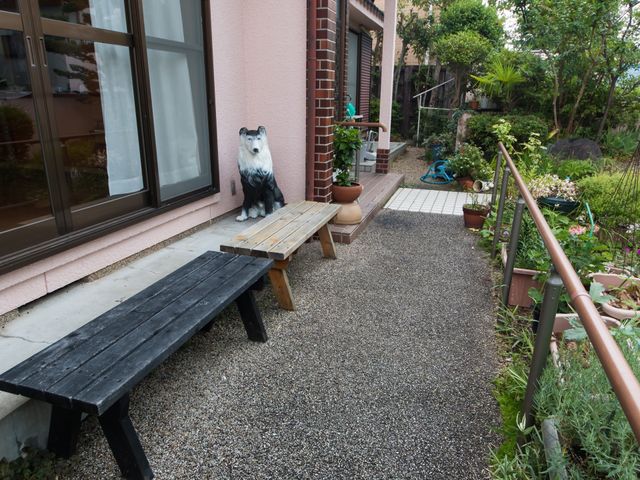 和やかな庭の風景