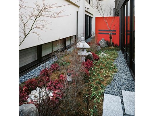 中庭の植栽と飛び石のある庭