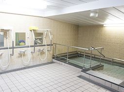手すり付き清潔な浴室