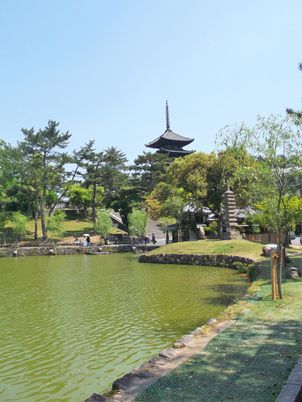 緑豊かな中庭の風景