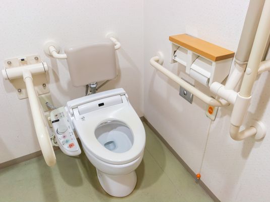 手すり付きトイレ