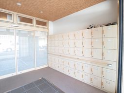 清潔なシューズボックス