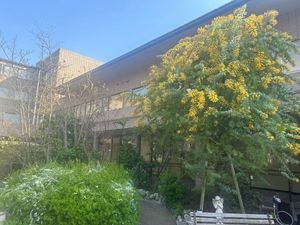 木々が彩る建物外観  