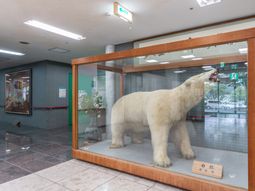熊の剥製があるロビー  