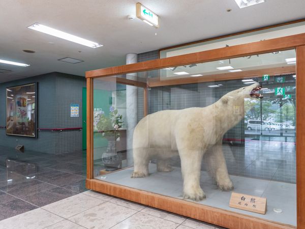 熊の剥製があるロビー  