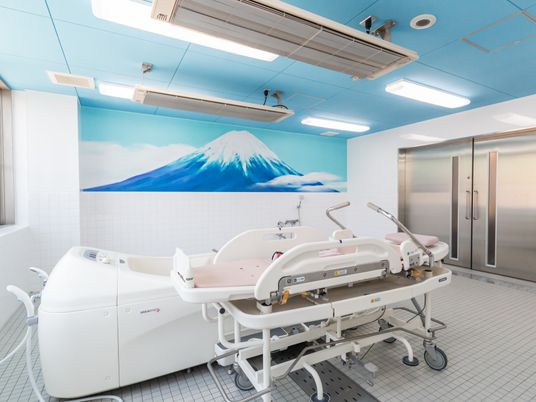 富士山の壁画がある浴室