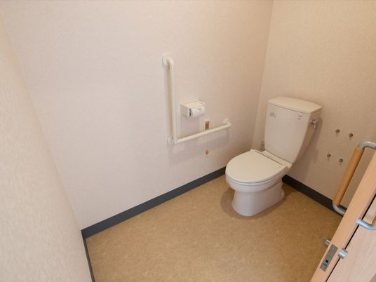 トイレは洋式で、便器の周囲には十分なスペースが取られている。入り口のドアはスライド式である。便器のそばには手すりがある。