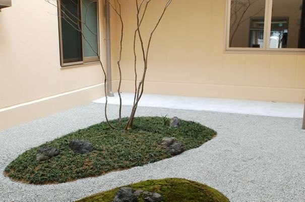 落ち着いた中庭の風景