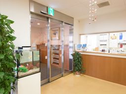 明るい受付エリア