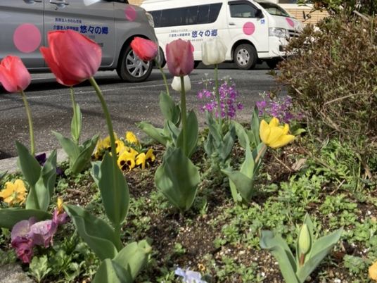 花壇と送迎車の外観  
