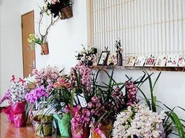 色鮮やかな飾り花が並ぶ廊下 廊下 色とりどりの花が飾られた廊下は、温かみと落ち着きを感じさせます。居心地の良い空間を演出しています。