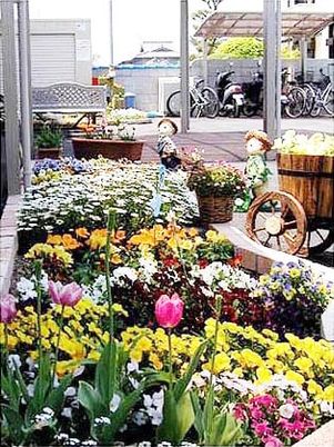 色とりどりの花が咲く庭