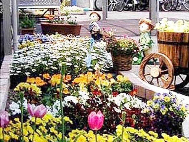 色とりどりの花が咲く庭 庭 色とりどりの花々が美しく整えられたスペースです。息抜きやリフレッシュに最適です。