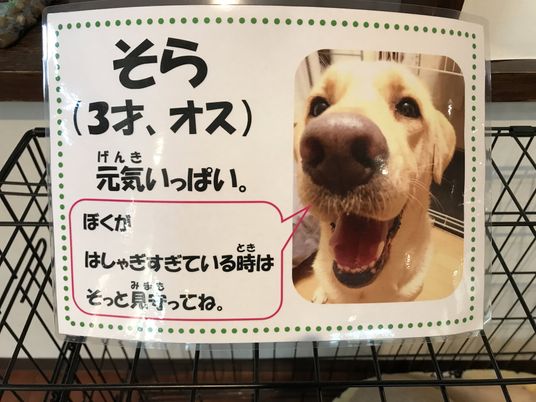 元気な犬の掲示物  