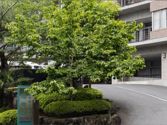 緑に囲まれた建物の外観 外観 緑豊かな環境に囲まれた場所で、穏やかな雰囲気の中で働くことができます。