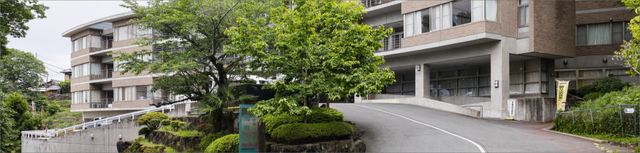 緑に囲まれた建物の外観 外観 緑豊かな環境に囲まれた場所で、穏やかな雰囲気の中で働くことができます。