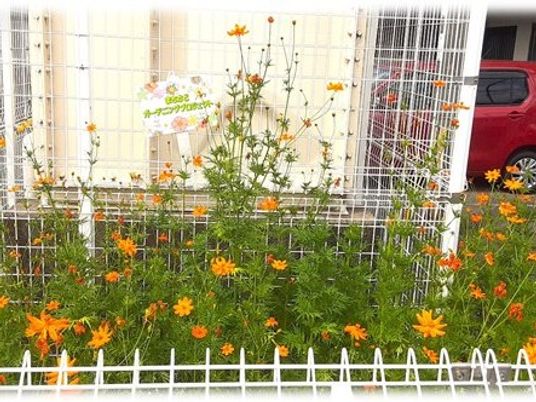 花壇のある中庭  