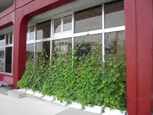 つる植物の窓辺外観  