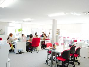 明るい事務作業の様子  