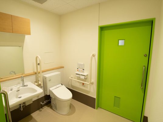 トイレの入り口は緑色の引き戸になっている。洋式便器が一据ある。手洗い場が同じ空間に設置されている。手すりが設けられている。