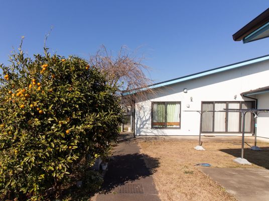  中庭の植物と建物 