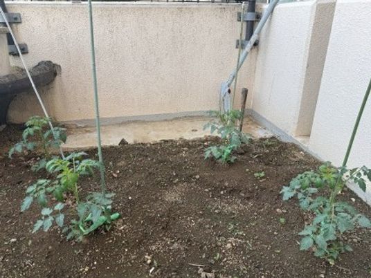小さな庭の土スペース  