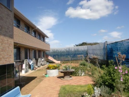 穏やかな中庭の風景