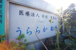 看板と緑の植物