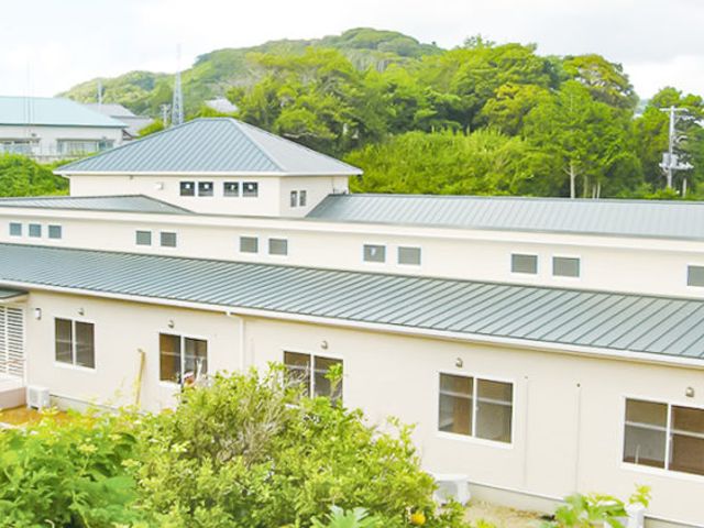 明るく開放的な居室 居室 窓から自然光が差し込むきれいなお部屋です。ゆったりとした空間で安らぎの時間をお過ごしいただけます。