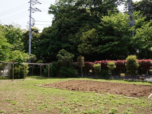 緑豊かな庭