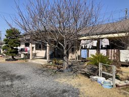 洗濯物が並ぶ庭