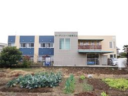 多色デザインの建物