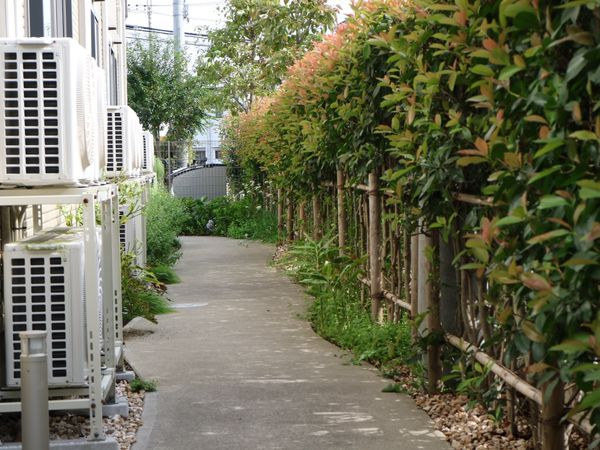 緑豊かな通路