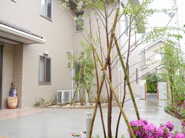 中庭の植栽  