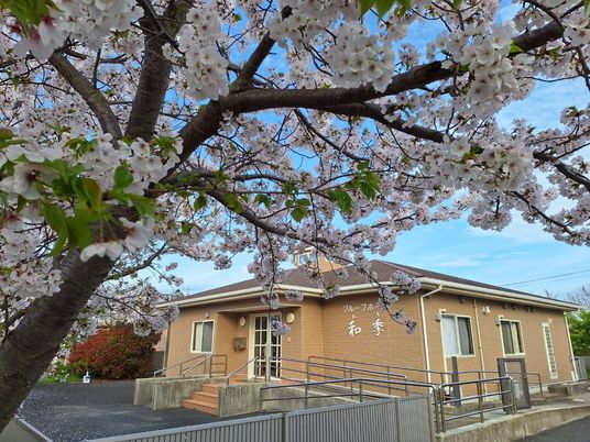 桜前の施設外観