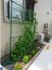 外壁と植物のある場所