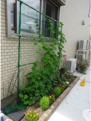 外壁と植物のある場所