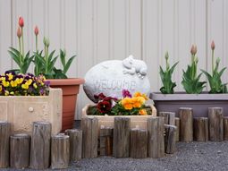 歓迎する石碑と花