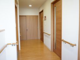 明るい廊下と多数の扉