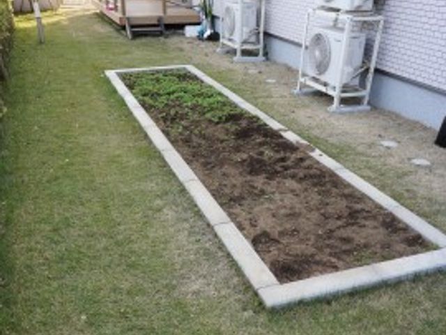 緑豊かな庭と畑 家庭庭園 手入れが行き届いた庭があり、利用者様がガーデニングを楽しめるスペースも確保しています。緑を眺めながら穏やかなひとときをお過ごしいただける環境です。