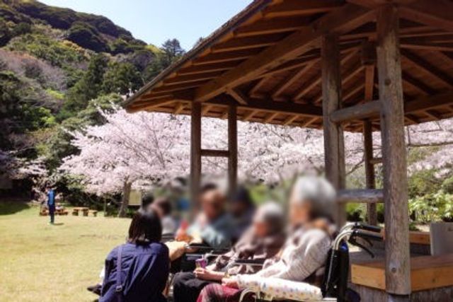 桜と屋外休憩所  