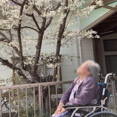 桜と車椅子の光景