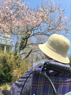 桜と人の後姿