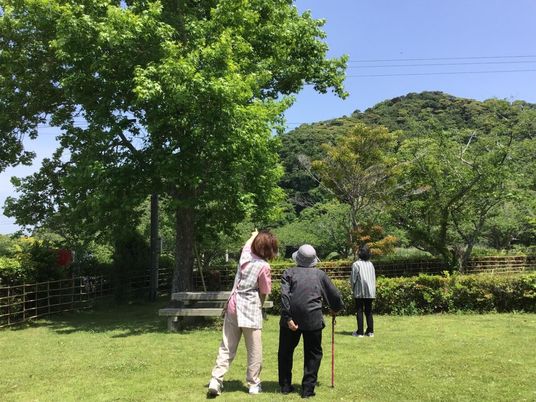 緑豊かな庭の散策風景