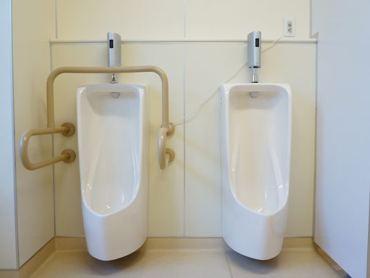 男子用トイレには自動洗浄付き小便器が2つある。片方には手すりがいくつも設置され、安心して利用できる。