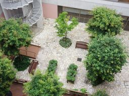 中庭の緑豊かな景観