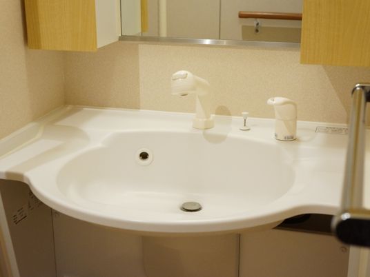 トイレ手前の洗面台。前面には鏡があり、左右には収納が設置されている。足元には収納はなく車椅子利用者も使いやすい。